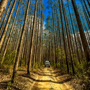 Passeio Andorinhas e Lavras Novas