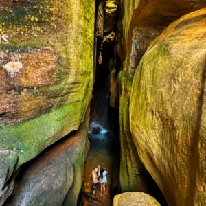Passeio Parque das Andorinhas (Curto)